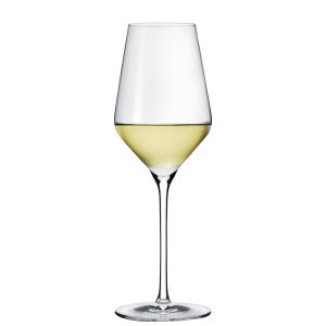 Wine Enthusiast Wine Enthusiast Vienna Break-Resistant Pinot Noir Wine Glass