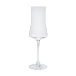 Zwiesel Glas Echo Collection - 5 oz. Champagne Flute - 1